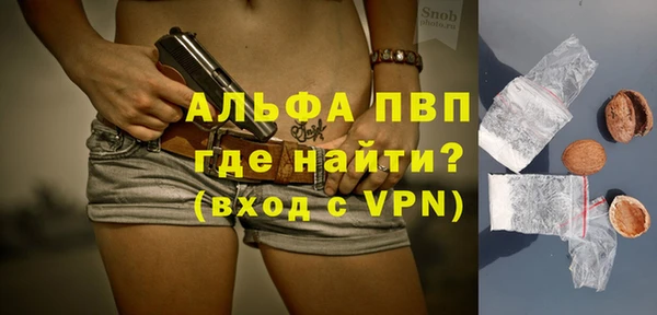 винт Лагань