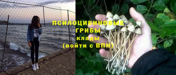 ешки Лабытнанги