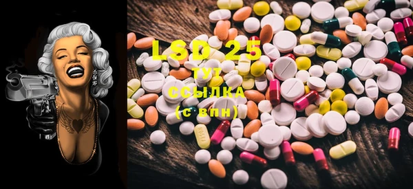 винт Лагань