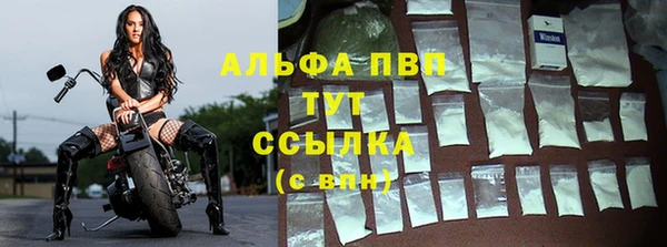 винт Лагань