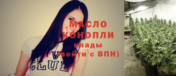 винт Лагань