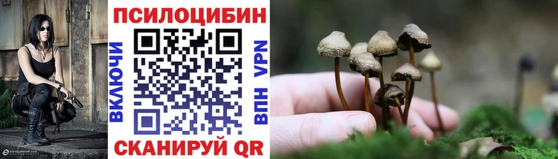 Купить  Волжский  Галлюциногенные грибы Psilocybine cubensis